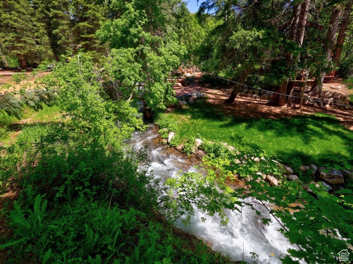 North Fork Provo River creek flowing through wooded property at Timp Haus