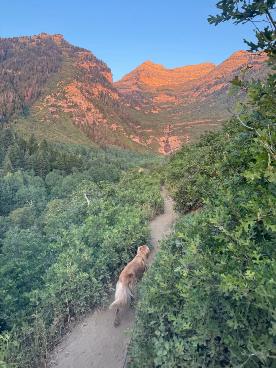 Hiking trail with Mount Timpanogos at sunset near Timp Haus